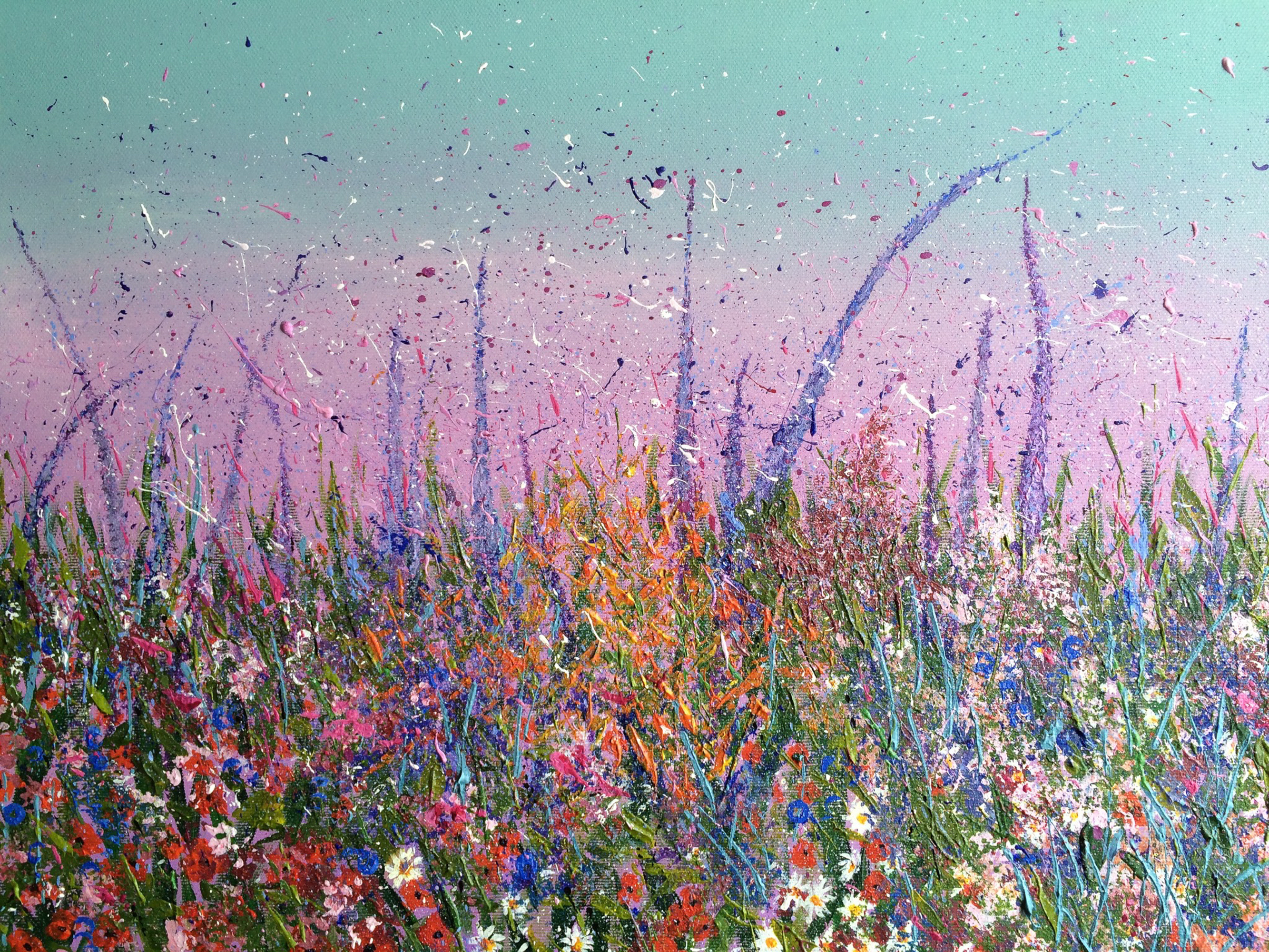 A field of flowers 