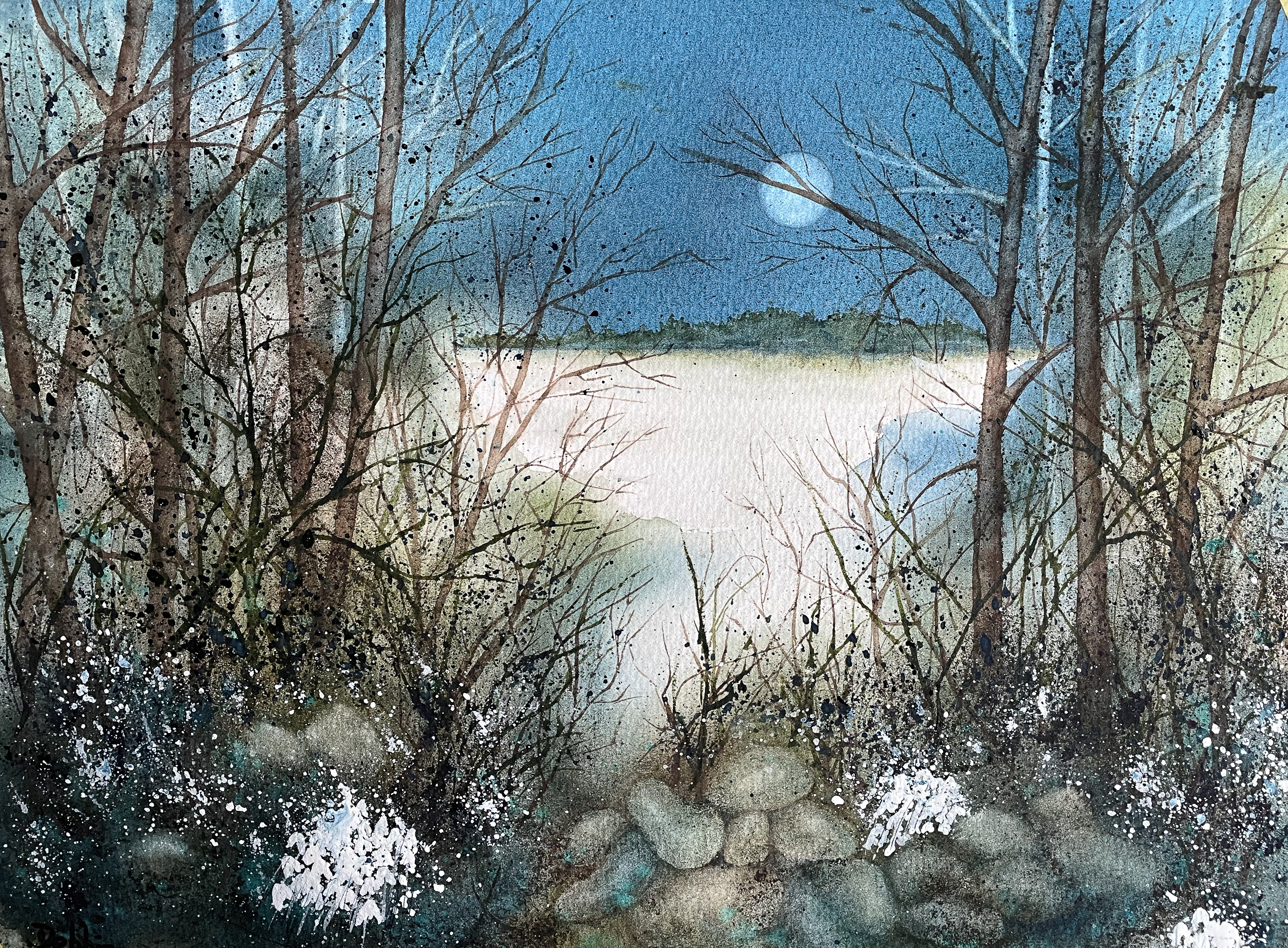  Moonset over the lake 