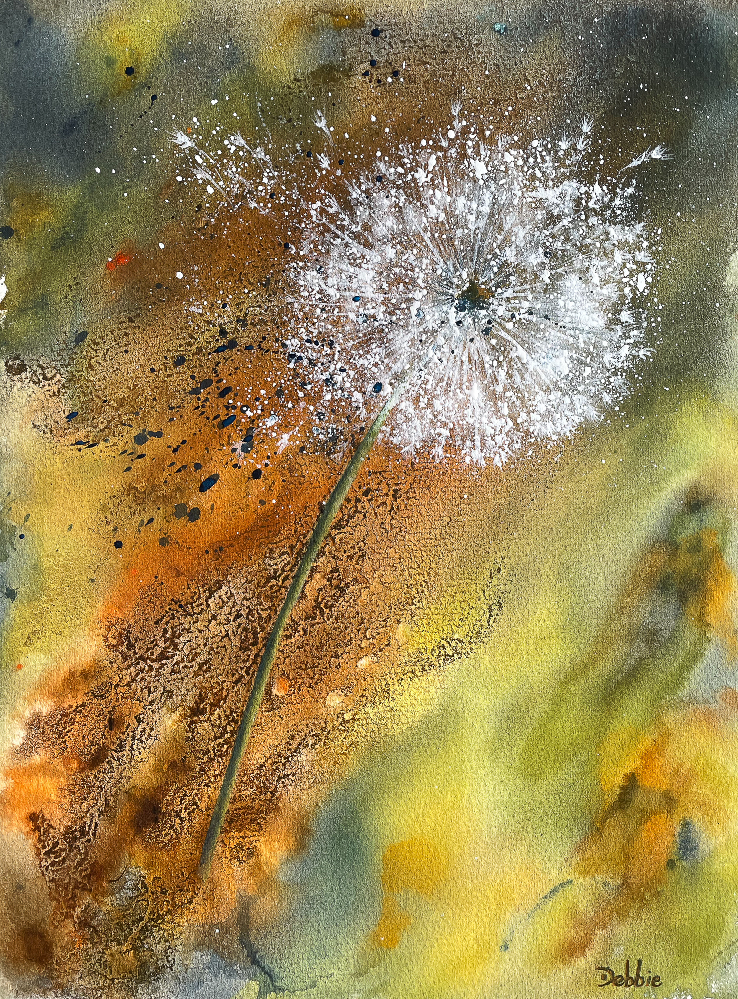  Dandelion 